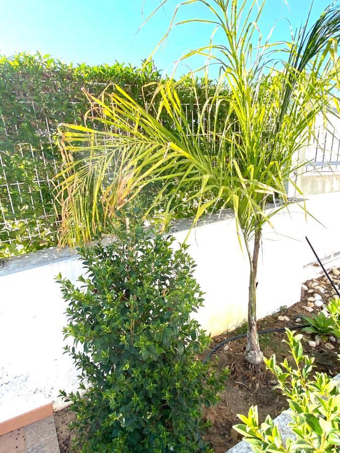 Villa Med - Private Pool, Garden, Sun All Day, Stunning Views Albufeira Exteriör bild